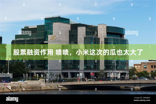 股票融资作用 啧啧，小米这次的瓜也太大了
