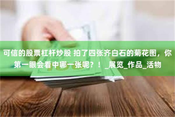 可信的股票杠杆炒股 拍了四张齐白石的菊花图，你第一眼会看中哪一张呢？！_展览_作品_活物