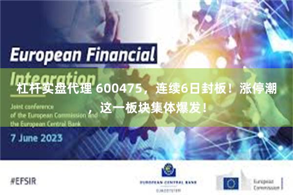 杠杆实盘代理 600475，连续6日封板！涨停潮，这一板块集体爆发！