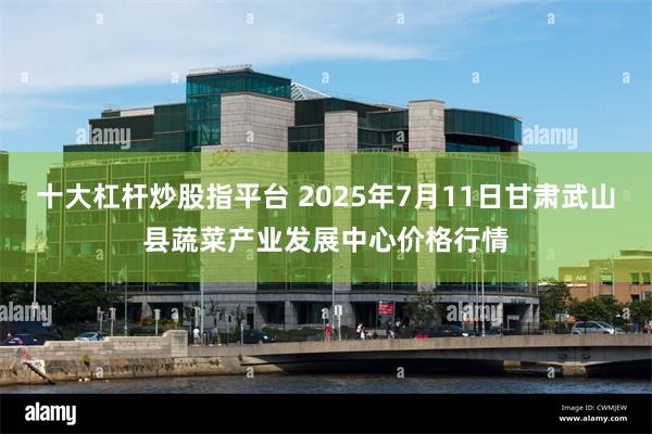 十大杠杆炒股指平台 2025年7月11日甘肃武山县蔬菜产业发展中心价格行情