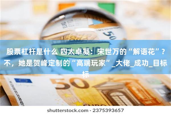 股票杠杆是什么 四太卓凝：宋世万的“解语花”？不，她是贺峰定制的“高端玩家”_大佬_成功_目标