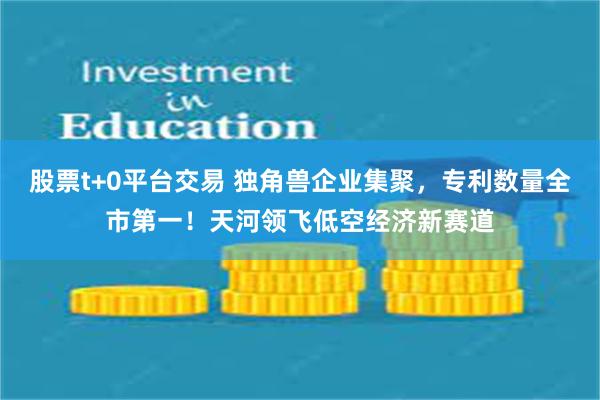 股票t+0平台交易 独角兽企业集聚，专利数量全市第一！天河领飞低空经济新赛道