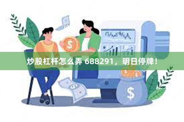 炒股杠杆怎么弄 688291，明日停牌！
